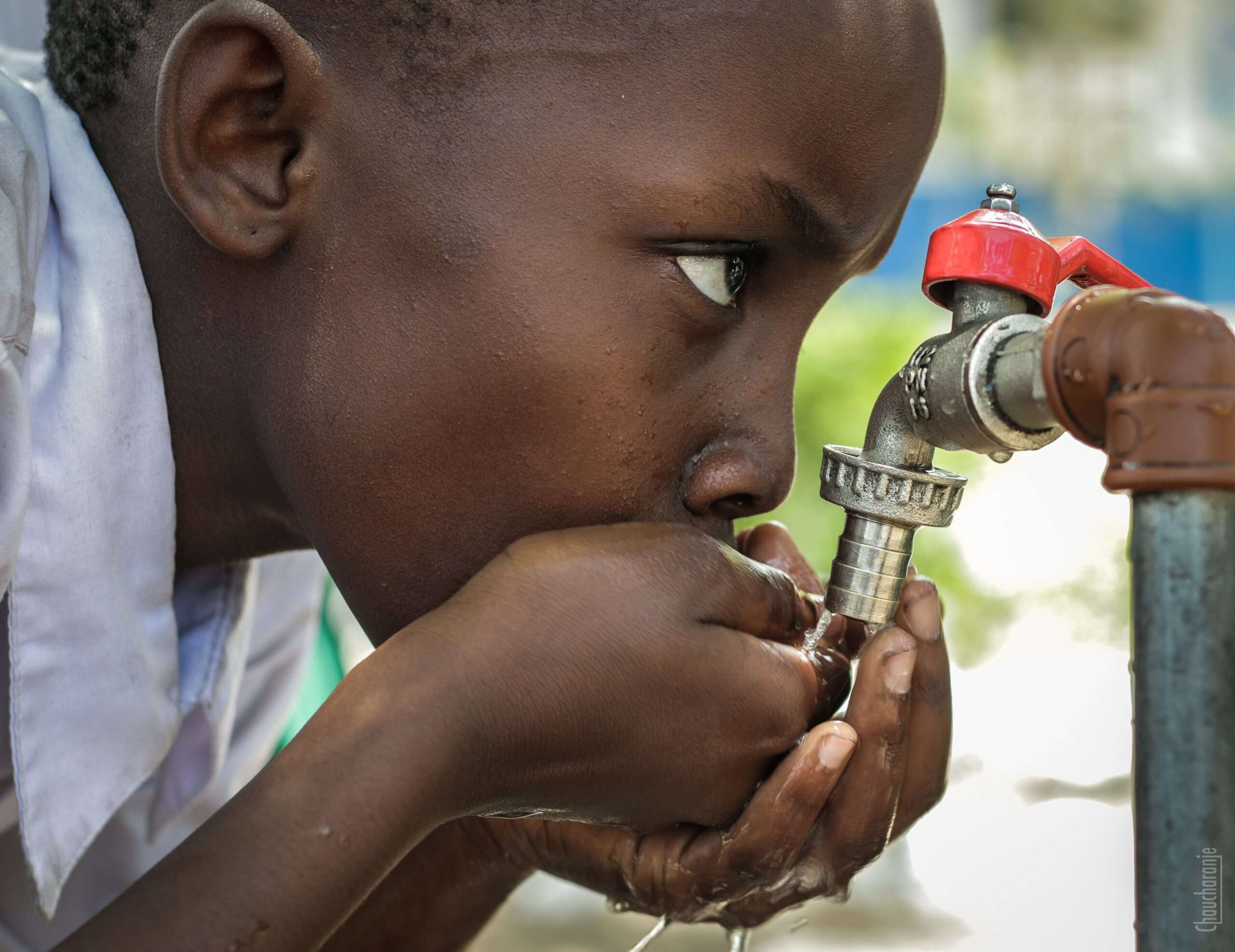 borehole water safety