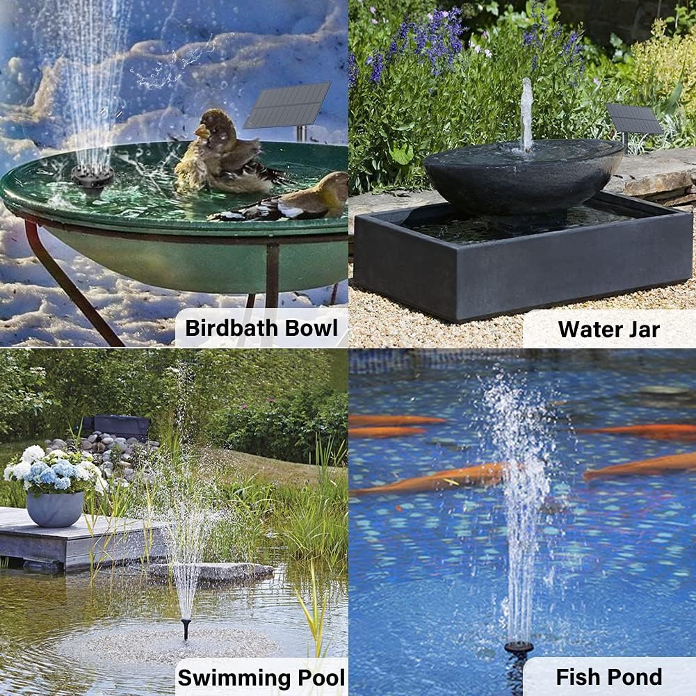 bird bath