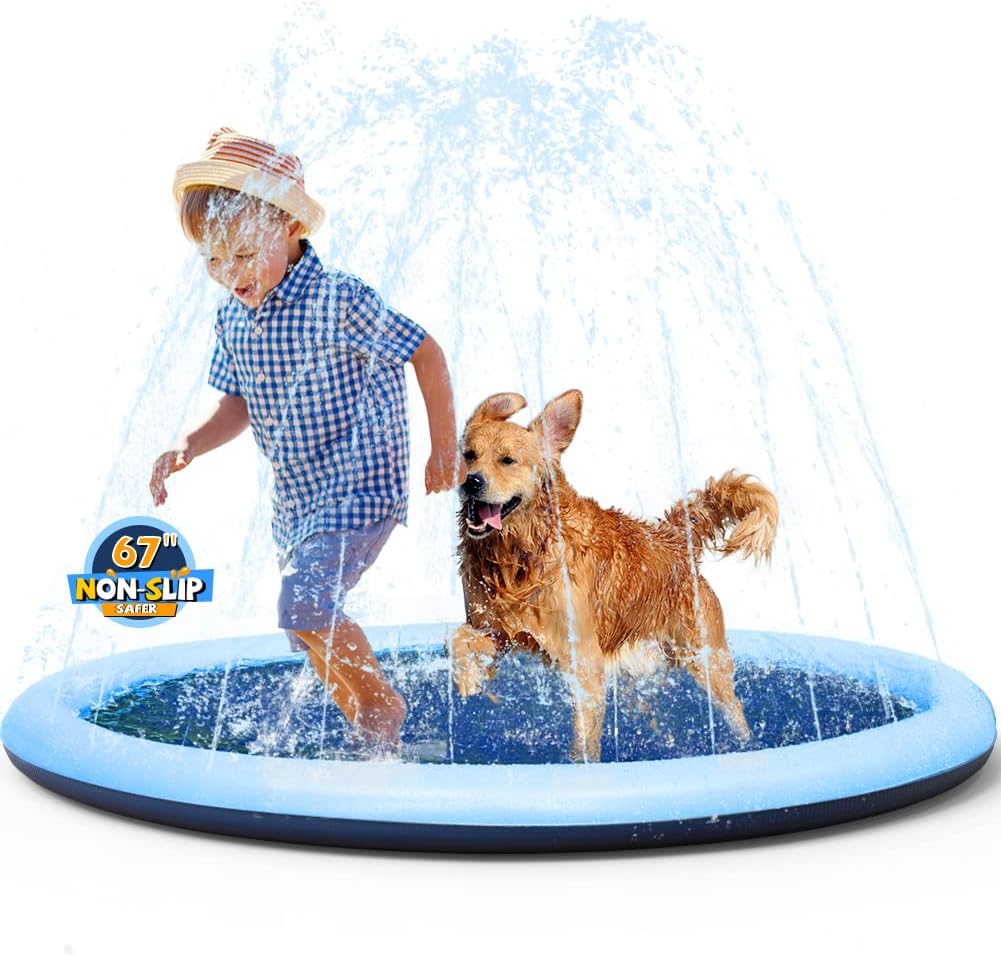 kid playing with dog in water