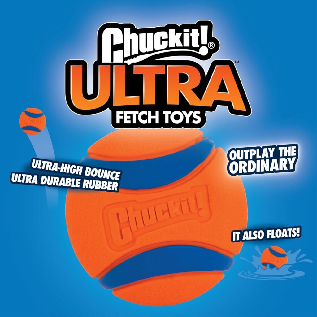 dog water toys