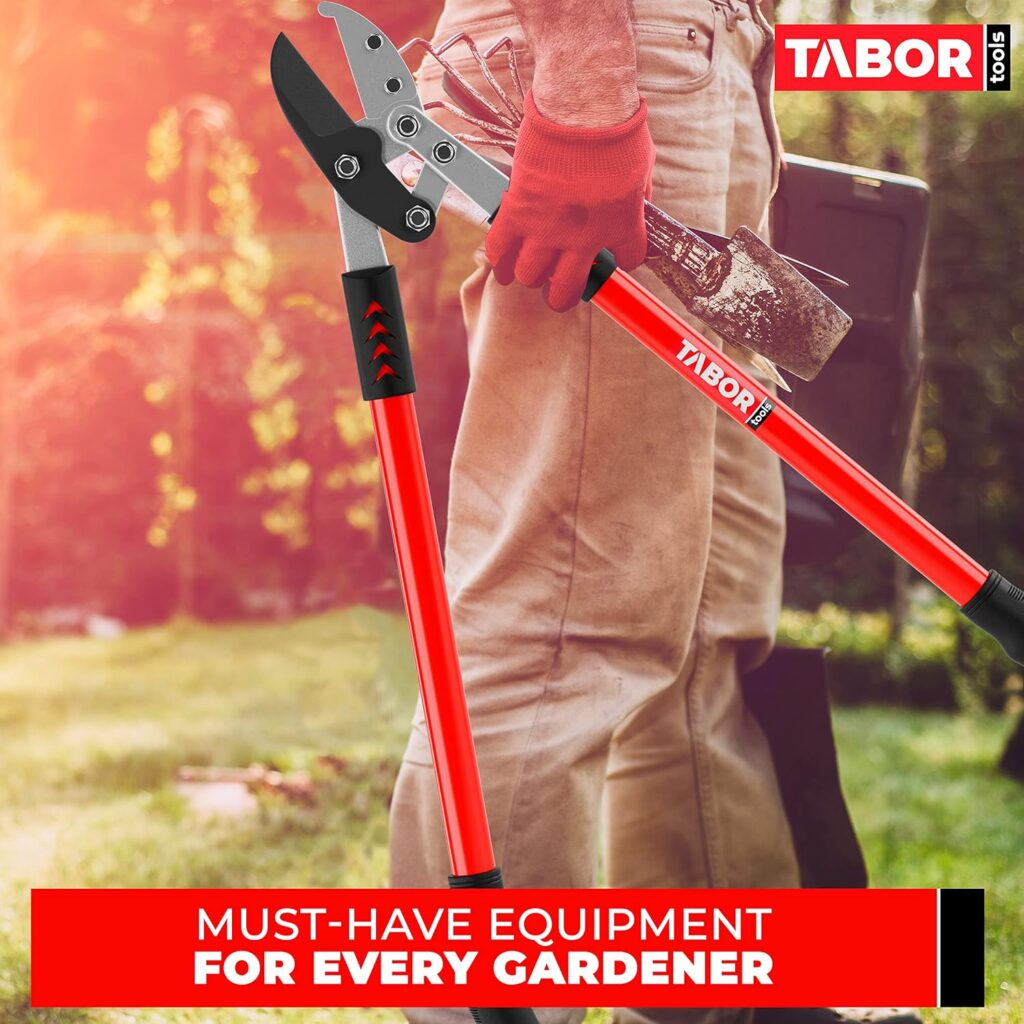 tabor trimmer