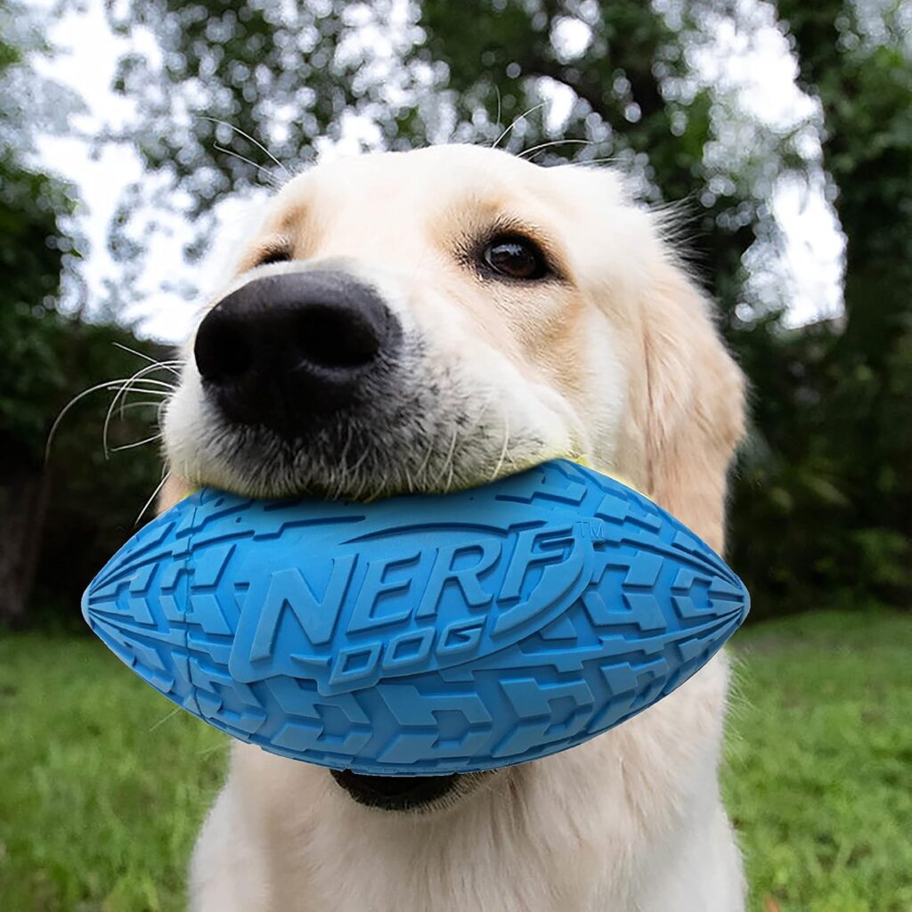 water toys for dogs