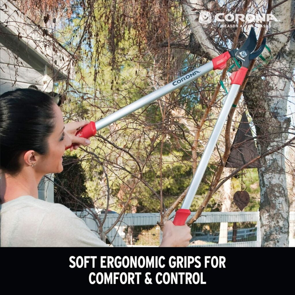 corona tree trimmers