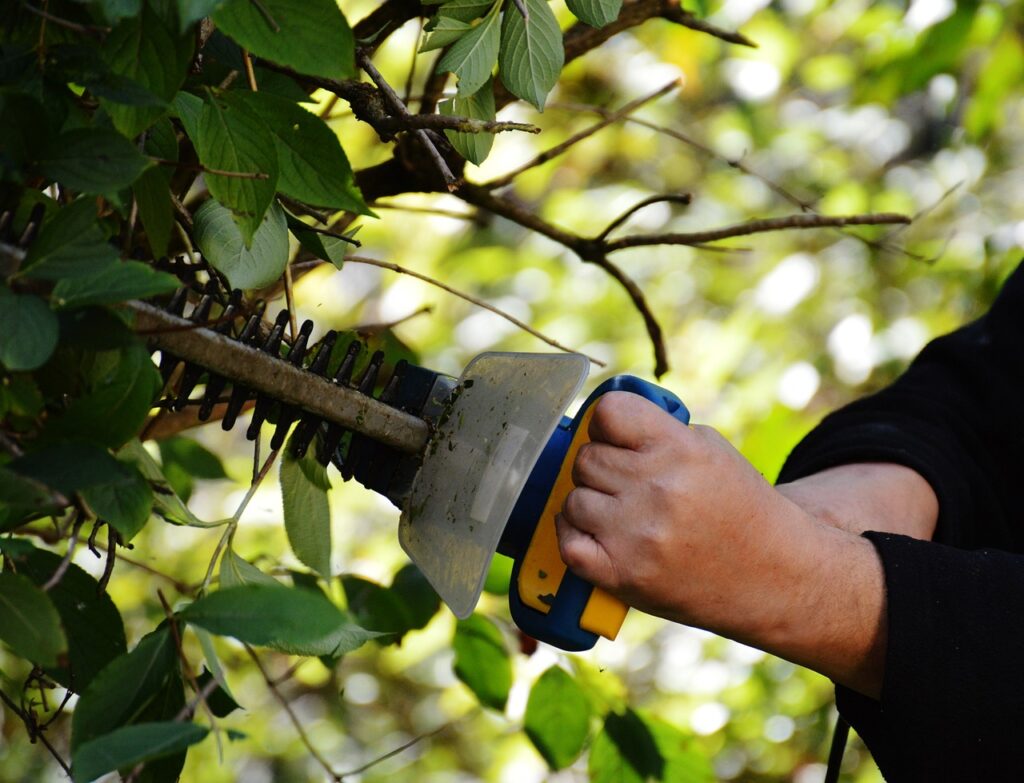 tree trimmers