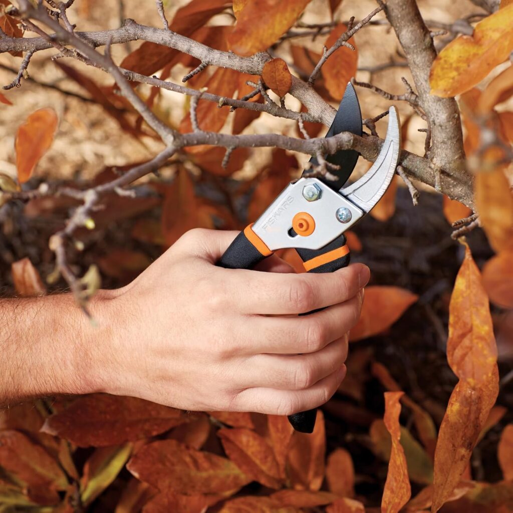 pruning shears