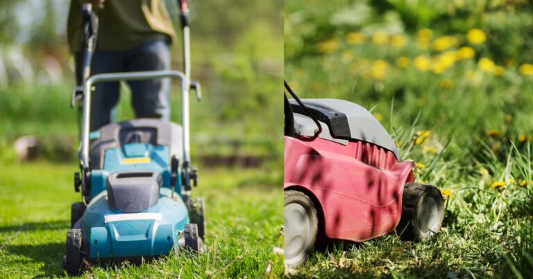 Best Self Propelled Lawn Mower: Easy Choices for a Perfect Lawn