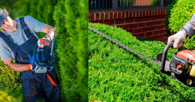 Top Electric Hedge Trimmers: Your Guide to the Best Picks for a Perfect Garden