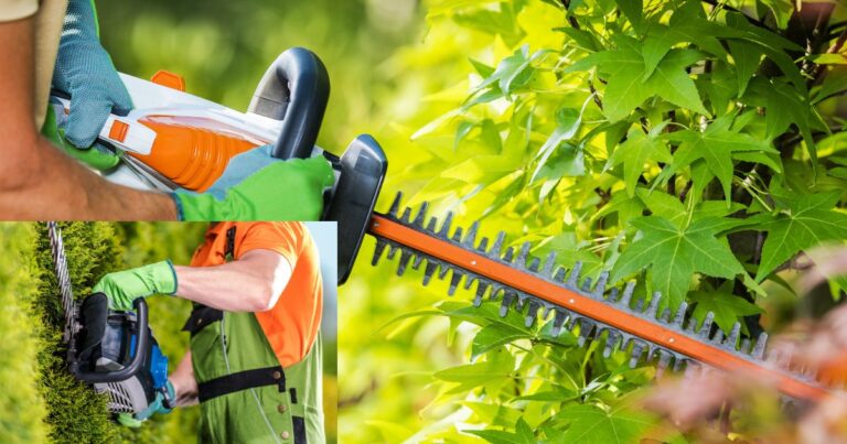 The Ultimate Guide to Battery Operated Hedge Trimmers: Reviews and Insights