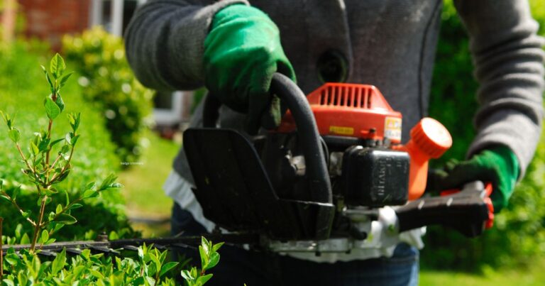Power of Makita Hedge Trimmers: A Comprehensive Review