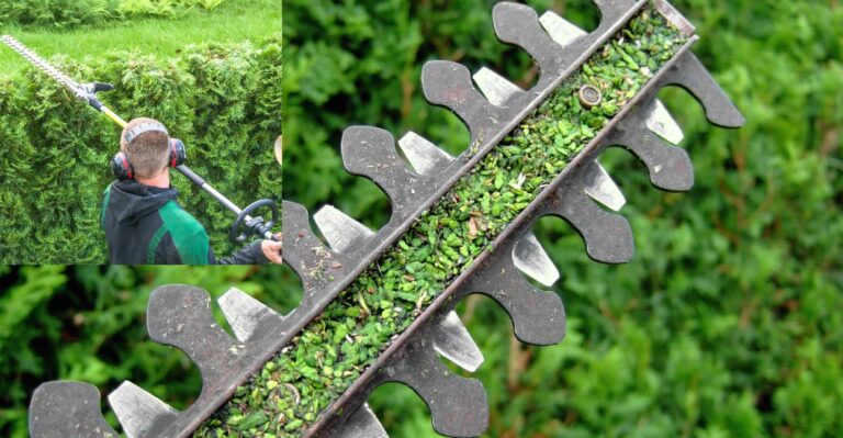 Trim Your Way to a Beautiful Garden: A Review of Echo Hedge Trimmers