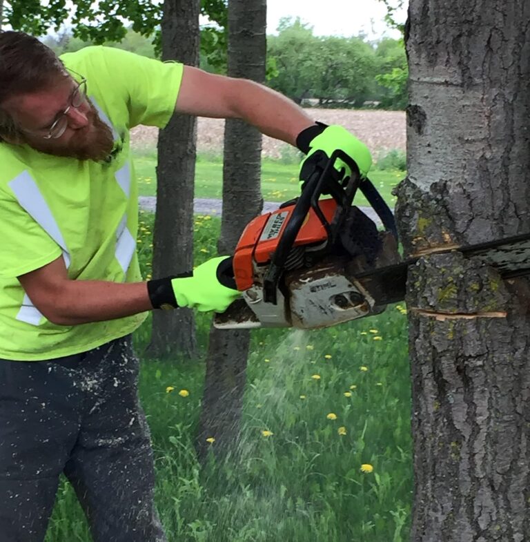 chainsaw gloves