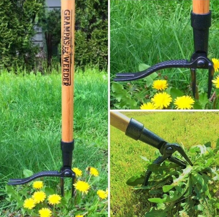Best Stand-Up Weeder and Loppers for Your Garden